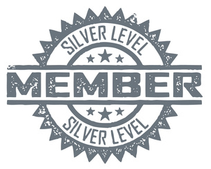 Silver Level